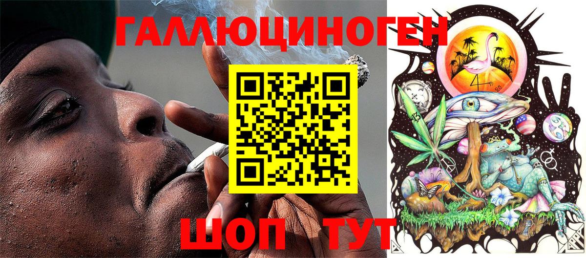 Псилоцибиновые грибы мицелий Красноармейск