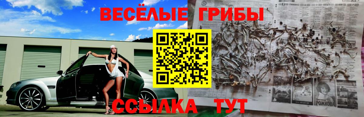 Псилоцибиновые грибы Cubensis  где купить наркоту  Псилоцибиновые грибы Cubensis  Красноармейск  Вход с VPN 
